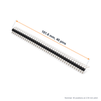Full right-angle header strip with an arrow marking its 101.6mm length across 40 pins
